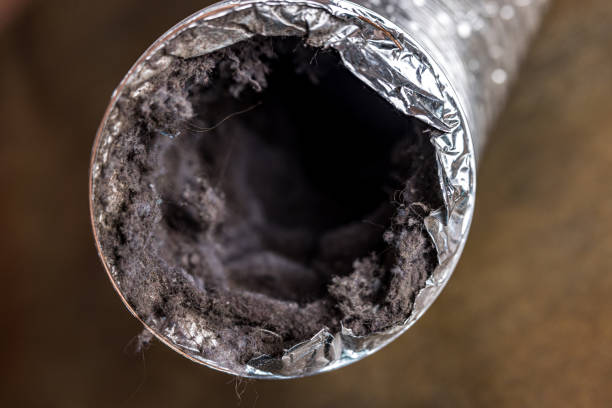 Best HVAC Air Duct Cleaning  in Mascotte, FL