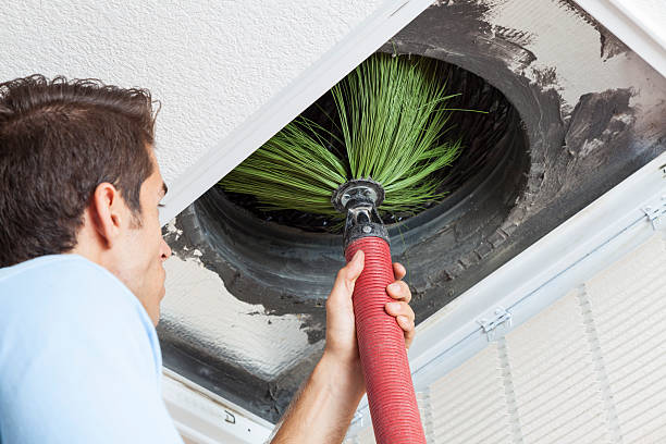 Best Affordable HVAC Duct Cleaning  in Mascotte, FL